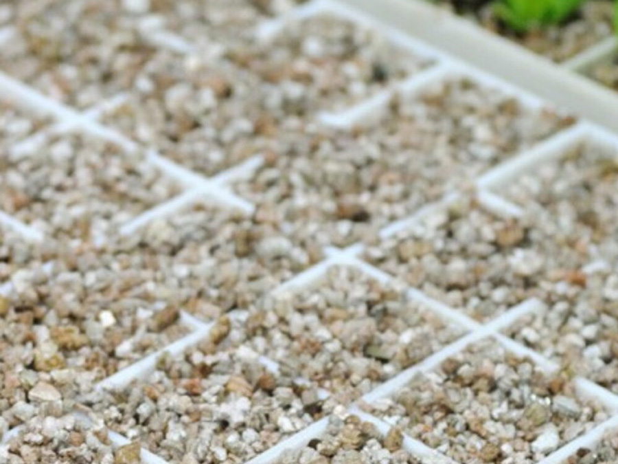 Vermiculite-Horticulture-1000x1000 Vermiculite-Horticulture-1000x1000